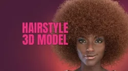 Afro Hair  3D model