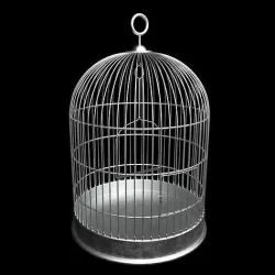 Bird Cage 3D model