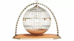 Bird cage 3D model