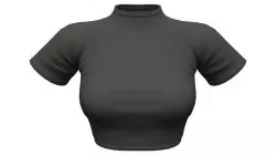 Black Short Sleeves Turtle Neck Crop Top Low-poly 3D model