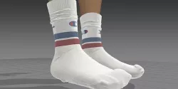 champion socks 3D model