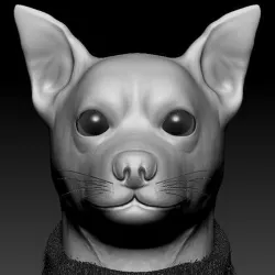 Chihuahua Low-poly 3D model