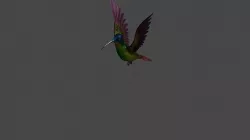 Cool hummingbird 3D model