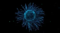 Deep Sea Organism 3D model