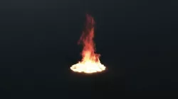 Default fire 3D model