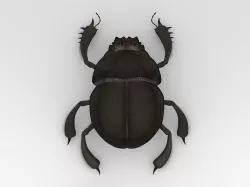 Egyptian Scarab 3D model