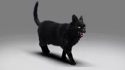 Fur Cat Black Rigged and Animated Low-poly 3D model