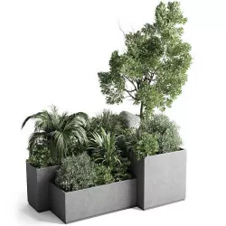 Garden plants in concrete boxes standing 3D model