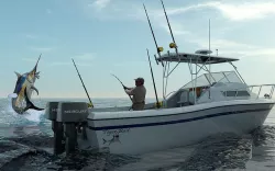 Grady White Sport Fishing Boat 3D model
