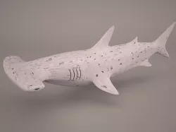 Great Hammerhead Shark 3D 3D model