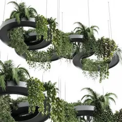 Hanging Plants Indoor plants 309 Low-poly 3D model