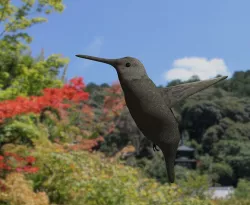 Hummingbird 3D model