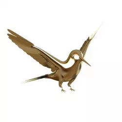 Hummingbird 3D print model 3D model