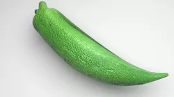 Lady Finger 3D model