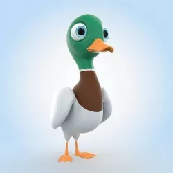 Mallard Duck 3D model