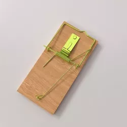 Mouse Trap 3D model