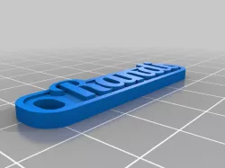 My Customized 1000 keychain name tags