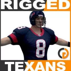 NFL Player Houston Texans - Rigged 3D model