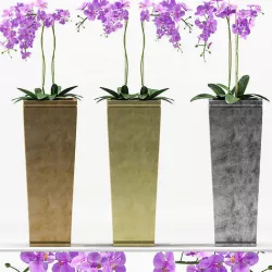 Plants 217 3D model