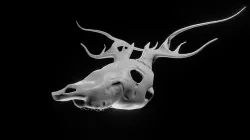 Skull Wendigo - Deer 3D model
