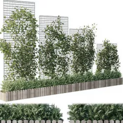 The plant on the grid 4 models and sizes with wooden box 3D model