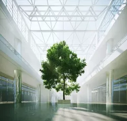 Tree In A Shopping Centre Interior 3D model