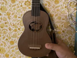 Ukulele Project (MYE3D Remix)