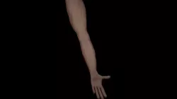 3D arm simple arm models with a realistic texture 3D model