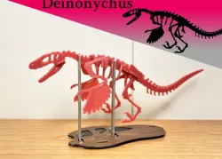 [3Dino Puzzle] Deinonychus