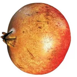 4k scanned Pomegranate Low-poly 3D model