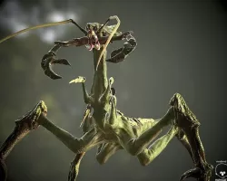 Alien Lizard Crab Game Model Low-poly 3D model