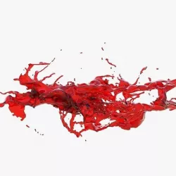 Animated Blood Splash 14 3D model