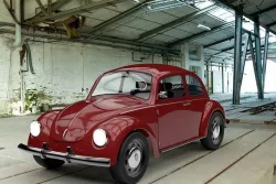Beetle 3D model