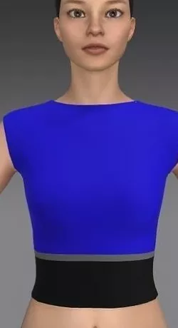 BLOUSE COLOR BLOCK BLUE GRAY AND BLACK LOOK 3D model