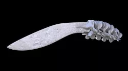 Bone knife 3D model
