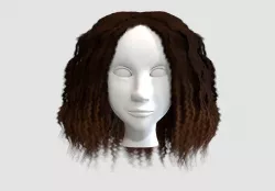 brown afro hair  3D model