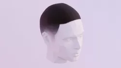 Buzzed Hair Low-poly 3D model
