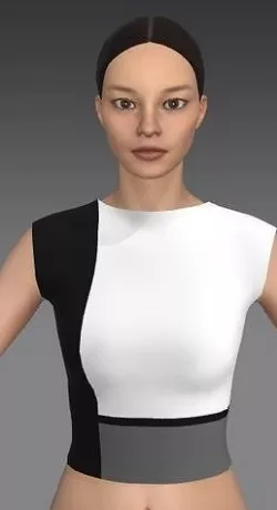 COLOR BLOCK BLOUSE BLACK WHITE AND GRAY 3D model