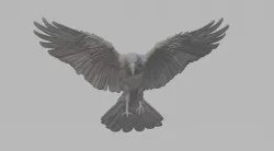 Crow 3D Print 3D model