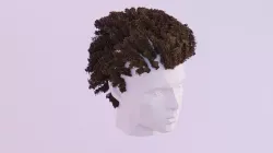 Curly Afro - High Poly 3D model