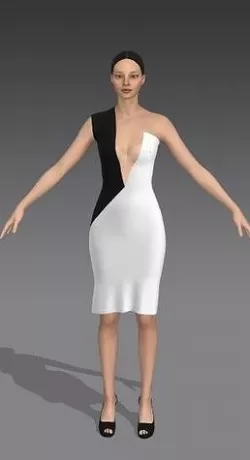 DRESS BLACK AND WHITE COLOR BLOCK 3D model