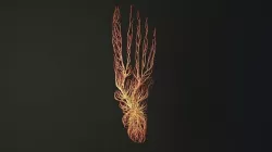 Human feet made out of lines Unrolling growing animation 3D model