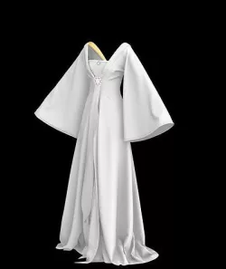 Kimono Inspired  3D model