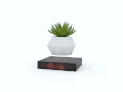 Levitating Plant Pot 3D model