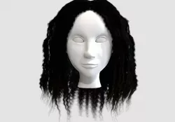 long afro hair  3D model