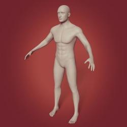 Muscular Man - Base Mesh 3D model