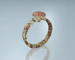 Rusted Hardware Tool Ring 3D model