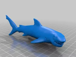 Shark