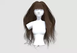 Thick Bangs Hairstyle  3D model