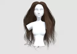 Thick Long Hairstyle  3D model